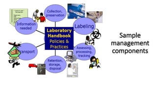 Sample Management Fs Comprehensive Guide to Sample Management in Clinical Laboratories for ...