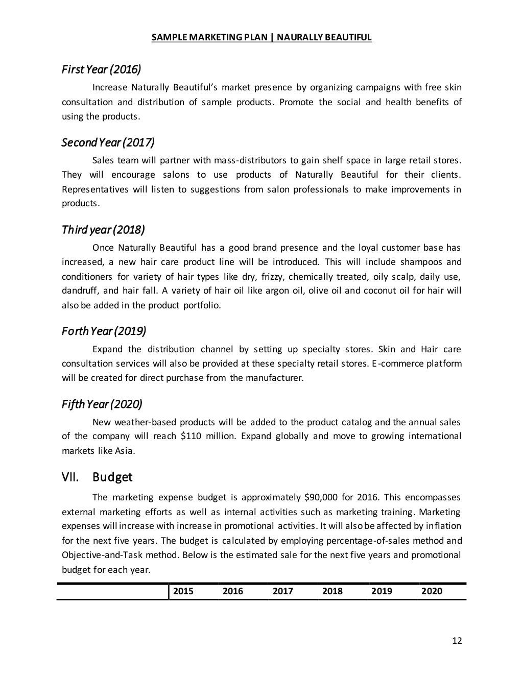 Sample Maketing Plan Sample Maketing Plan