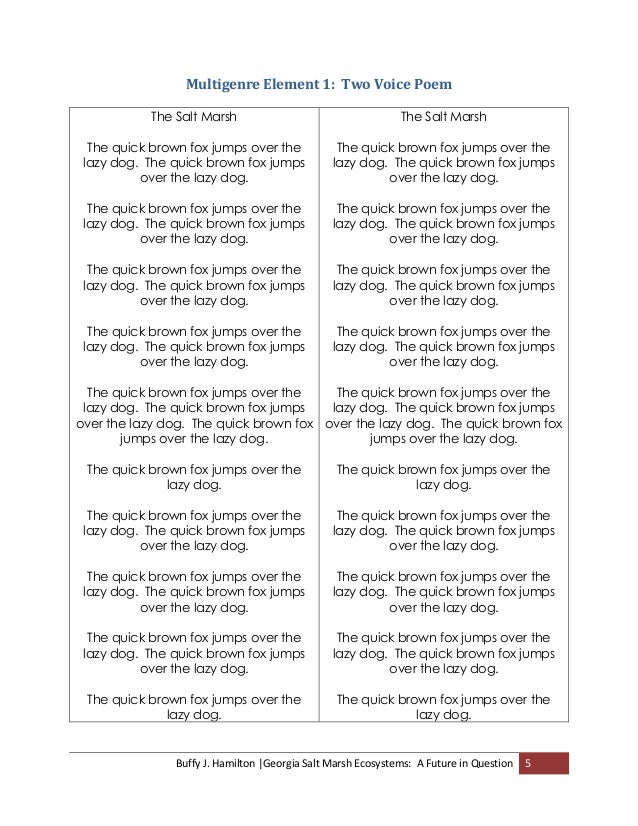 Two voices essay 04 image