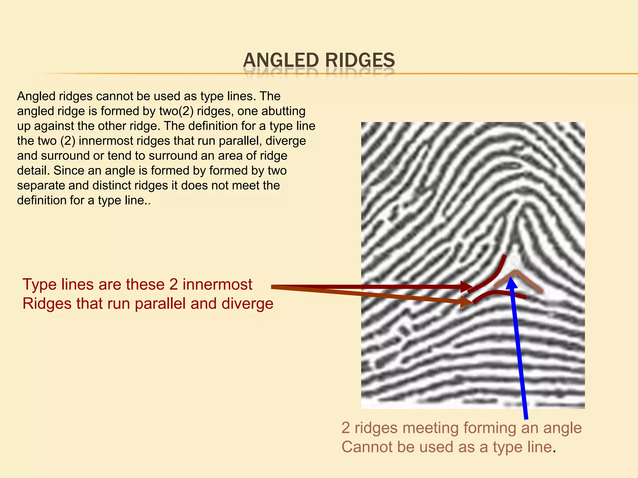 Tracings are used to break down whorl patterns into smaller sub-groupings.
