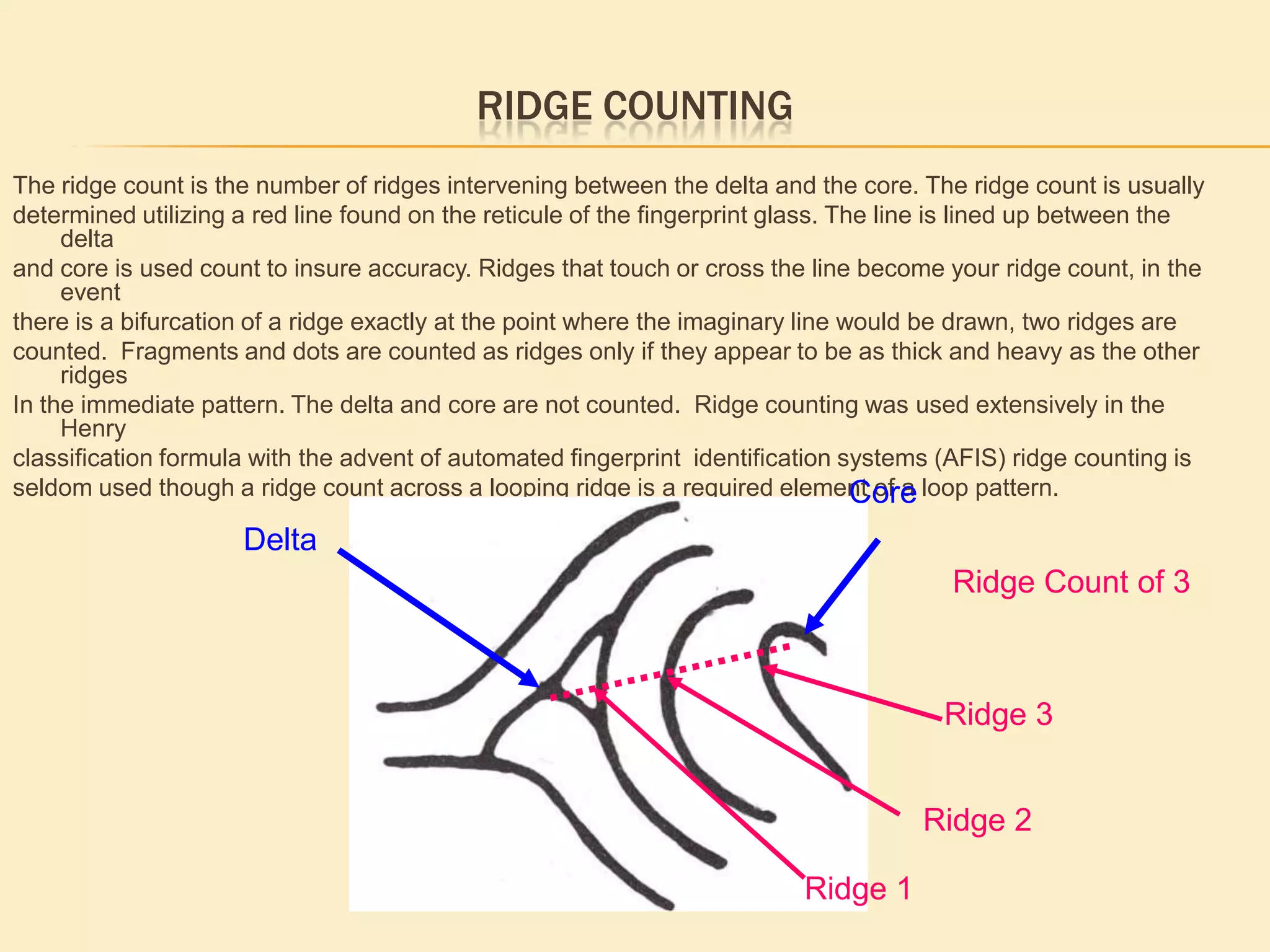 Type lines Bifurcating RidgesBifurcation 1 ridgeinto 2 ridgesIn the example to the right we see B a bifurcationone(1) ridge splitting into two (2) ridges. The bifurcation does not run parallel to the type line A, so it can’t be used as a type line. We move outward to ridge which does run parallel to A, this meets the criteria for a type line and is in fact the Type line in this pattern.  CBAType lines, ridges run Parallel then diverge