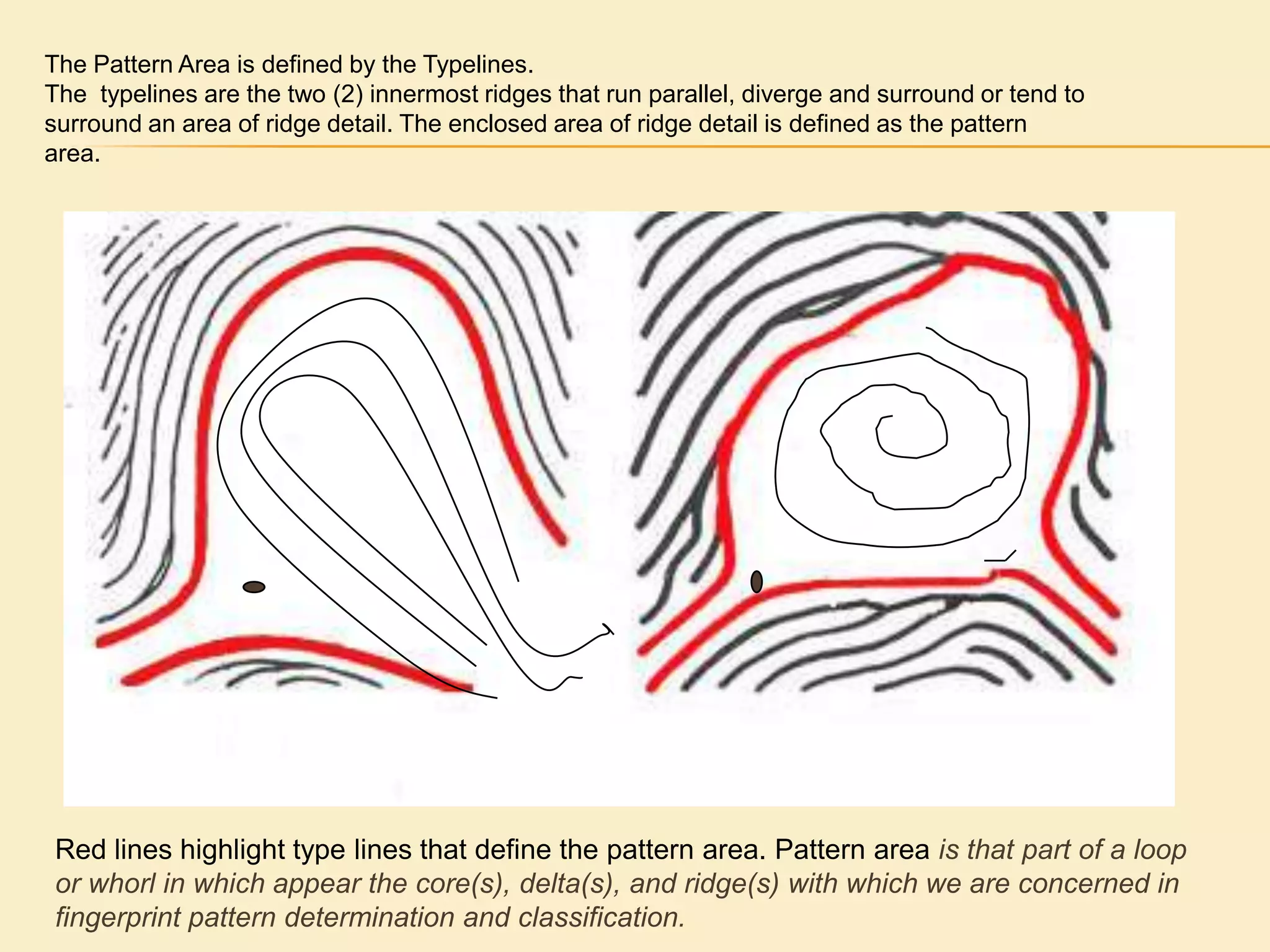 Focal points are found within most pattern area’s usually a delta and core. 
