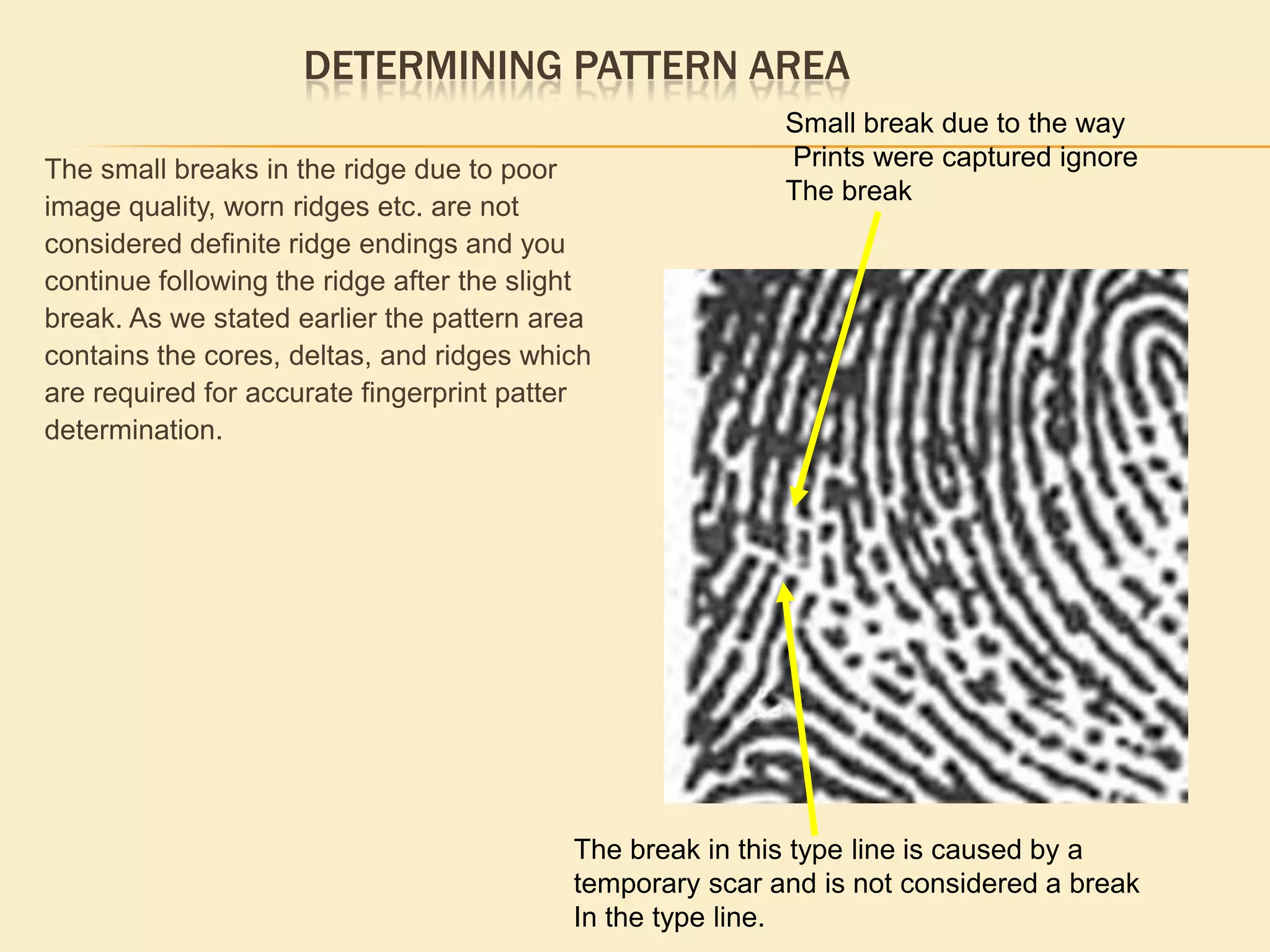 Core approximate center of the patter area.