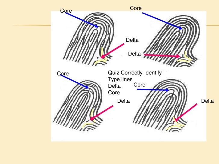 Sample Sample Pattern Area training Module