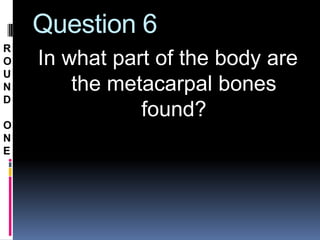 Question 6
R
O   In what part of the body are
U
N       the metacarpal bones
D
               found?
O
N
E
 