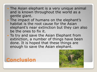    The Asian elephant is a very unique animal
    and is known throughout the world as a
    gentle giant.
   The impact of humans on the elephant’s
    habitat is the root cause for the Asian
    elephant’s near extinction but they can also
    be the ones to fix it.
   To try and save the Asian Elephant from
    extinction, a number of things have been
    done. It is hoped that these things are
    enough to save the Asian elephant.


Conclusion
 