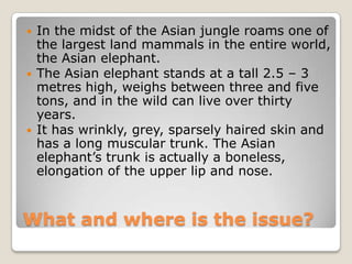    In the midst of the Asian jungle roams one of
    the largest land mammals in the entire
    world, the Asian elephant.
   The Asian elephant stands at a tall 2.5 – 3
    metres high, weighs between three and five
    tons, and in the wild can live over thirty
    years.
   It has wrinkly, grey, sparsely haired skin and
    has a long muscular trunk. The Asian
    elephant’s trunk is actually a
    boneless, elongation of the upper lip and
    nose.

What and where is the issue?
 