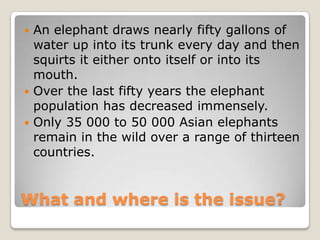  An elephant draws nearly fifty gallons of
  water up into its trunk every day and then
  squirts it either onto itself or into its
  mouth.
 Over the last fifty years the elephant
  population has decreased immensely.
 Only 35 000 to 50 000 Asian elephants
  remain in the wild over a range of thirteen
  countries.


What and where is the issue?
 