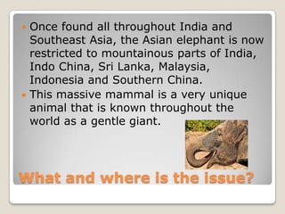  Once found all throughout India and
  Southeast Asia, the Asian elephant is now
  restricted to mountainous parts of
  India, Indo China, Sri
  Lanka, Malaysia, Indonesia and Southern
  China.
 This massive mammal is a very unique
  animal that is known throughout the
  world as a gentle giant.



What and where is the issue?
 