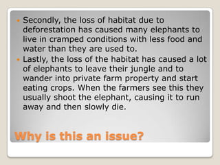    Secondly, the loss of habitat due to
    deforestation has caused many elephants to
    live in cramped conditions with less food and
    water than they are used to.
   Lastly, the loss of the habitat has caused a lot
    of elephants to leave their jungle and to
    wander into private farm property and start
    eating crops. When the farmers see this they
    usually shoot the elephant, causing it to run
    away and then slowly die.


Why is this an issue?
 