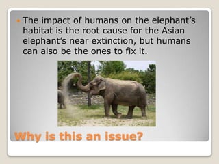    The impact of humans on the elephant’s
    habitat is the root cause for the Asian
    elephant’s near extinction, but humans
    can also be the ones to fix it.




Why is this an issue?
 
