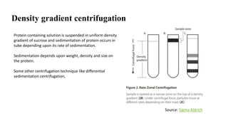 Density gradient centrifugation
Protein containing solution is suspended in uniform density
gradient of sucrose and sedimentation of protein occurs in
tube depending upon its rate of sedimentation.
Sedimentation depends upon weight, density and size on
the protein.
Some other centrifugation technique like differential
sedimentation centrifugation,
Source: Sigma Aldrich
 