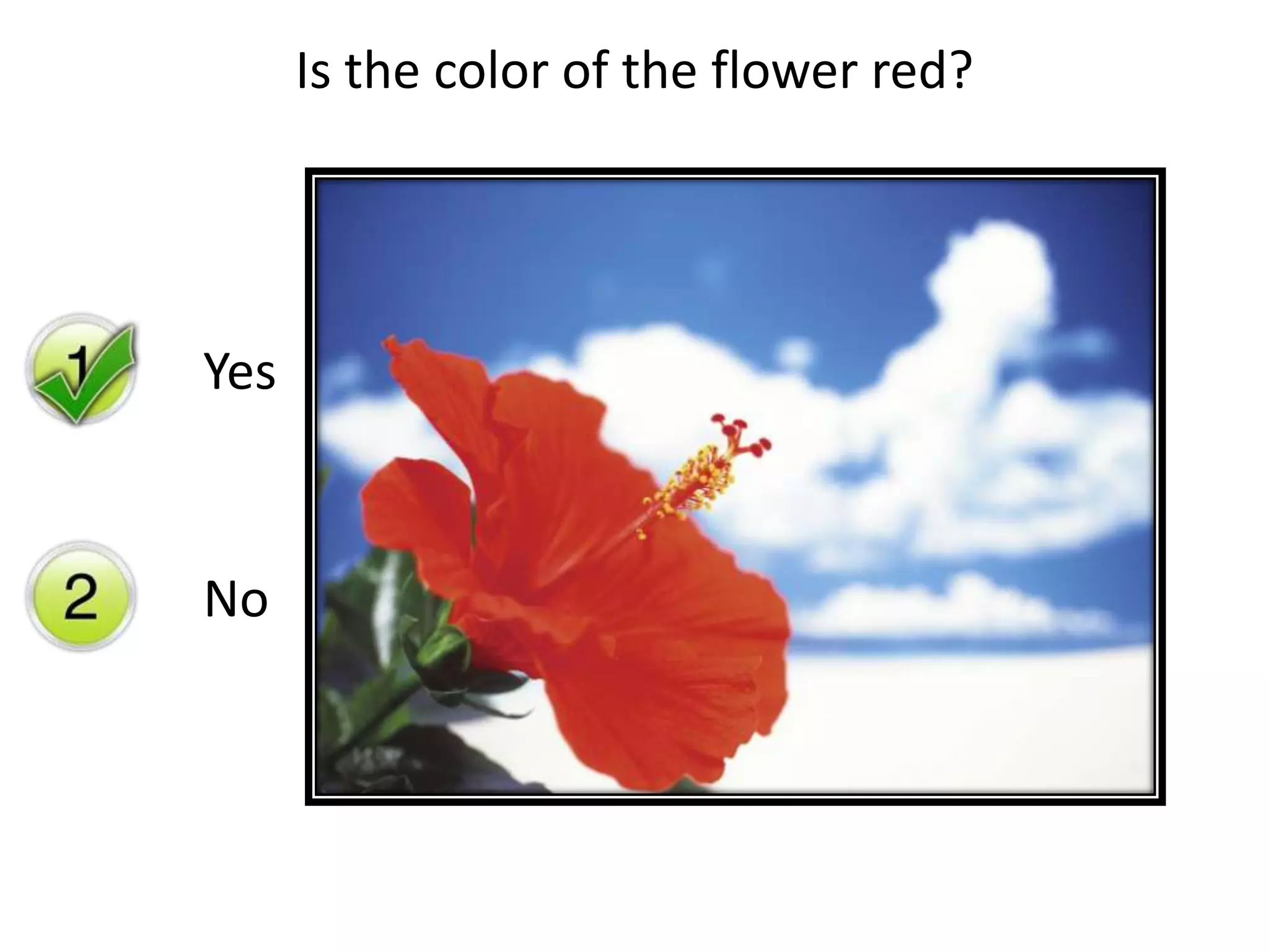 Sample presentation reyma ppt