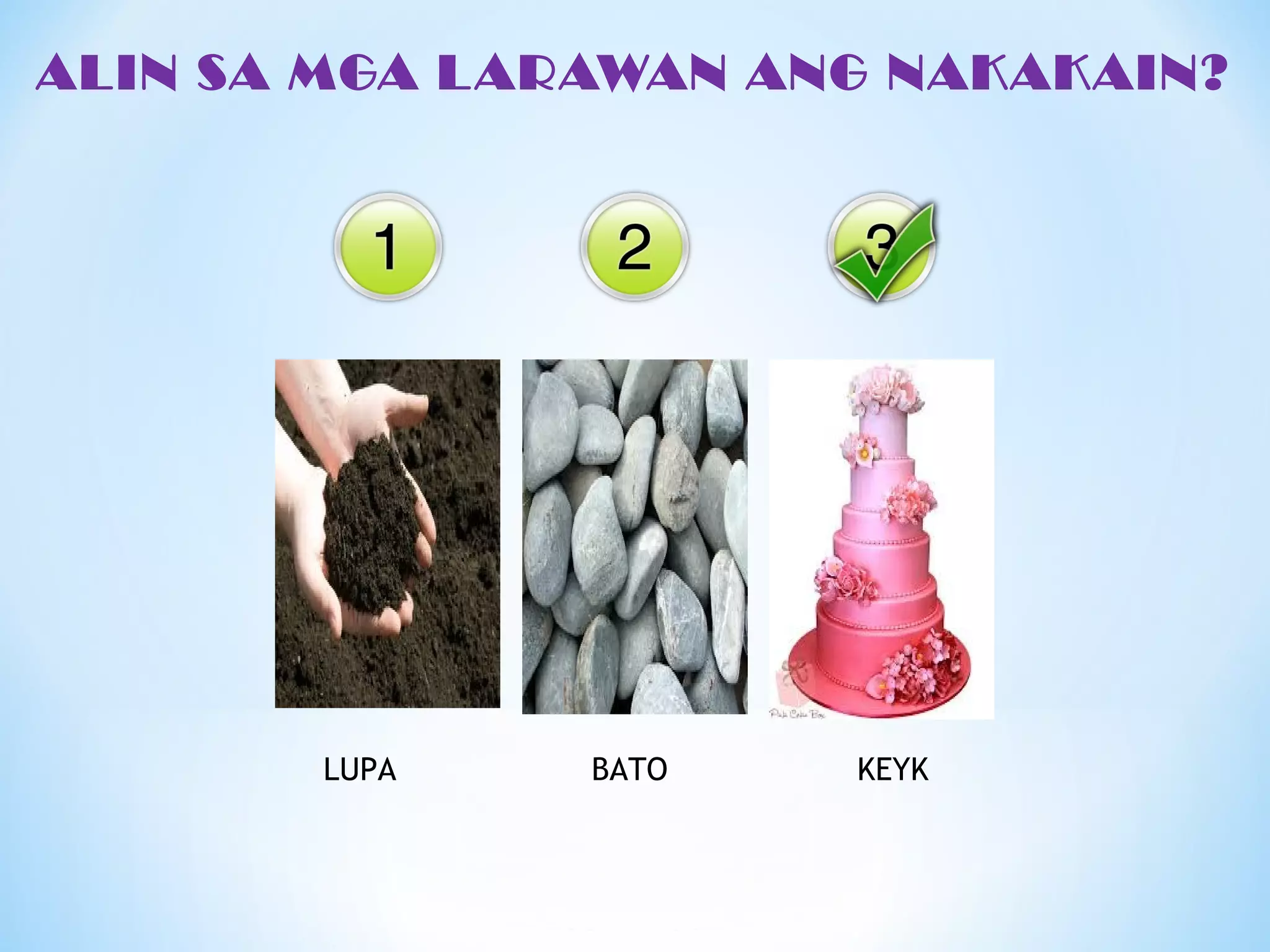 ALIN SA MGA LARAWAN ANG NAKAKAIN?
LUPA BATO KEYK