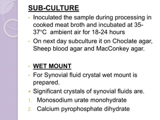 SUB-CULTURE
• Inoculated the sample during processing in
cooked meat broth and incubated at 35-
37°C ambient air for 18-24 hours
• On next day subculture it on Choclate agar,
Sheep blood agar and MacConkey agar.
• WET MOUNT
• For Synovial fluid crystal wet mount is
prepared.
 Significant crystals of synovial fluids are.
1. Monosodium urate monohydrate
2. Calcium pyrophosphate dihydrate
 