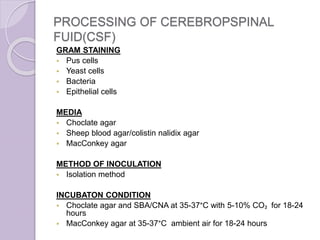 PROCESSING OF CEREBROPSPINAL
FUID(CSF)
GRAM STAINING
 Pus cells
 Yeast cells
 Bacteria
 Epithelial cells
MEDIA
 Choclate agar
 Sheep blood agar/colistin nalidix agar
 MacConkey agar
METHOD OF INOCULATION
 Isolation method
INCUBATON CONDITION
 Choclate agar and SBA/CNA at 35-37°C with 5-10% CO₂ for 18-24
hours
 MacConkey agar at 35-37°C ambient air for 18-24 hours
 