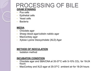 PROCESSING OF BILEGRAM STAINING
 Pus cells
 Epithelial cells
 Yeast cells
 Bacteria
MEDIA
 Choclate agar
 Sheep blood agar/colistin nalidix agar
 MacConkey agar
 Xylose Lysine Deoxycholate (XLD) Agar
METHOD OF INOCULATION
 Isolation method
INCUBATON CONDITION
 Choclate agar and SBA/CNA at 35-37°C with 5-10% CO₂ for 18-24
hours
 MacConkey and XLD agar at 35-37°C ambient air for 18-24 hours
 