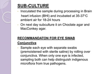 SUB-CULTURE
• Inoculated the sample during processing in Brain
heart infusion (BHI) and incubated at 35-37°C
ambient air for 18-24 hours
• On next day subculture it on Choclate agar and
MacConkey agar.
RECOMMANDATON FOR EYE SWAB
Conjunctiva
• Sample each eye with separate swabs
(premoistened with sterile saline) by rolling over
conjunctiva. When only one eye is infected,
sampling both can help distinguish indigenous
microflora from true pathogens.
 