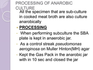 PROCESSING OF ANAROBIC
CULTURE
All the specimen that are sub-culture
in cooked meat broth are also culture
anarobically
 PROCESSING
• When performing subculture the SBA
plate is kept in anaerobic jar.
• As a control streak pseudomonas
aeroginosa on Muller Hinton(MH) agar
• Kept the Gas Pack in the anarobic jar
with in 10 sec and closed the jar
 