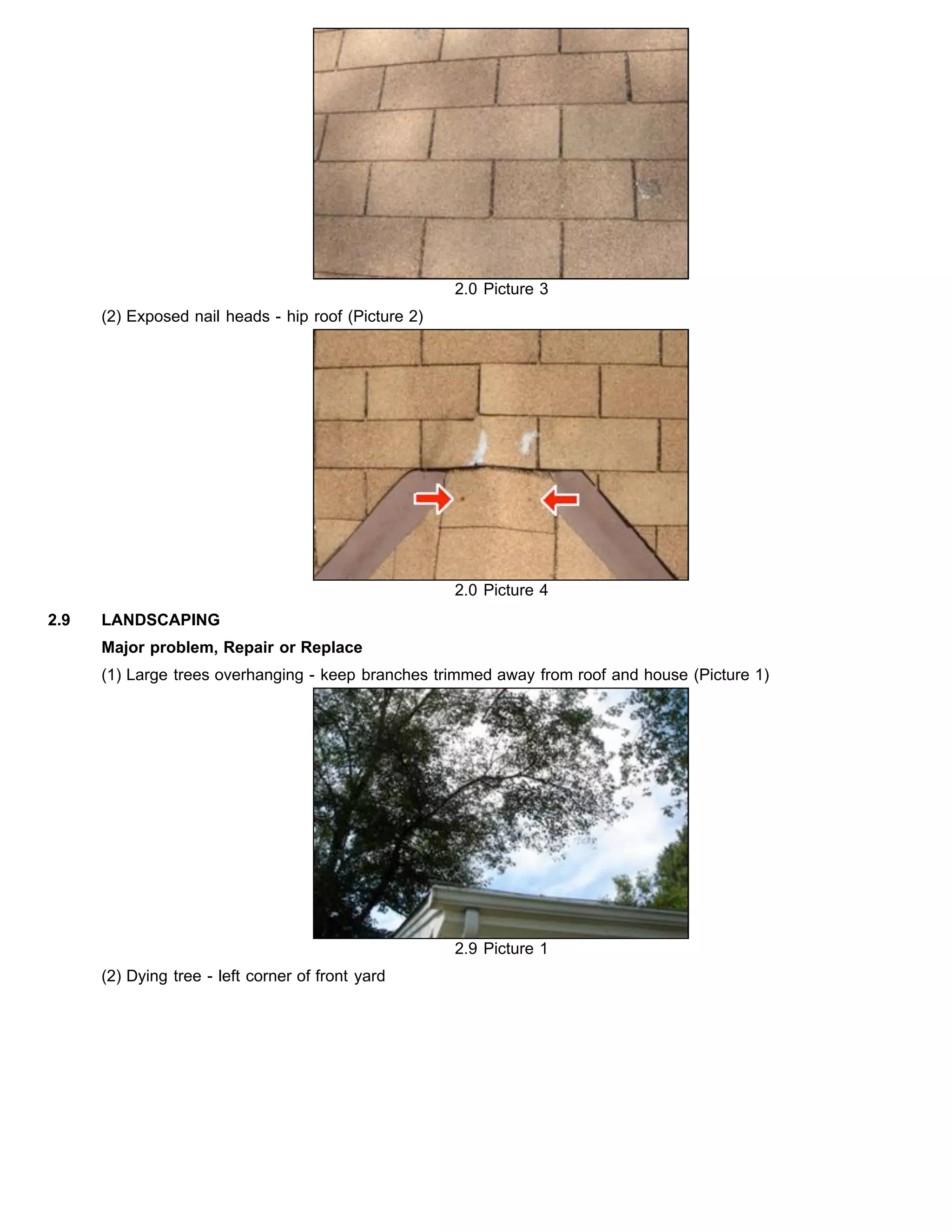 2.0 Picture 3
(2) Exposed nail heads - hip roof (Picture 2)
2.0 Picture 4
2.9 LANDSCAPING
Major problem, Repair or Replace
(1) Large trees overhanging - keep branches trimmed away from roof and house (Picture 1)
2.9 Picture 1
(2) Dying tree - left corner of front yard
 