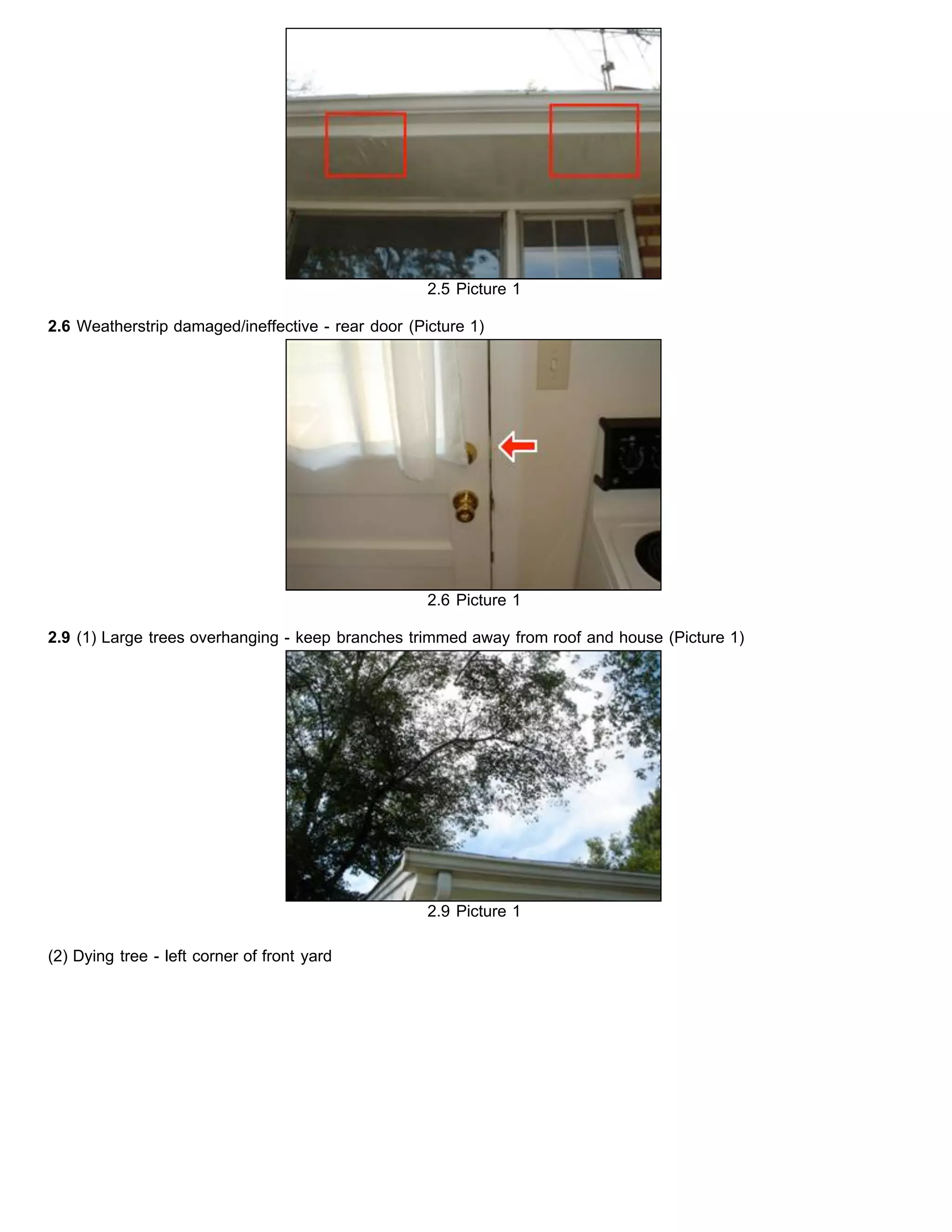 2.5 Picture 1
2.6 Weatherstrip damaged/ineffective - rear door (Picture 1)
2.6 Picture 1
2.9 (1) Large trees overhanging - keep branches trimmed away from roof and house (Picture 1)
2.9 Picture 1
(2) Dying tree - left corner of front yard
 