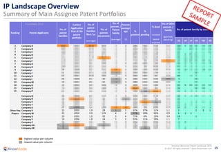 15
Resistive Memories Patent Landscape 2015
© 2015 All rights reserved | www.knowmade.com
IP Landscape Overview
Summary of Main Assignee Patent Portfolios
: highest value per column
: lowest value per column
 