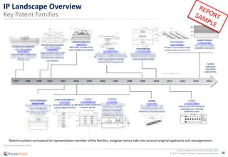 18
Resistive Memories Patent Landscape 2015
© 2015 All rights reserved | www.knowmade.com
IP Landscape Overview
Key Patent Families
1Acquired by Rambus in 2012
Patent numbers correspond to representative member of the families, assignee names take into account original applicants and reassignments.
 