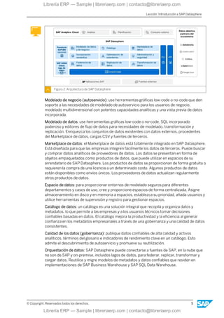 DSPE01 Explorar Fundamentos en SAP Datasphere | PDF