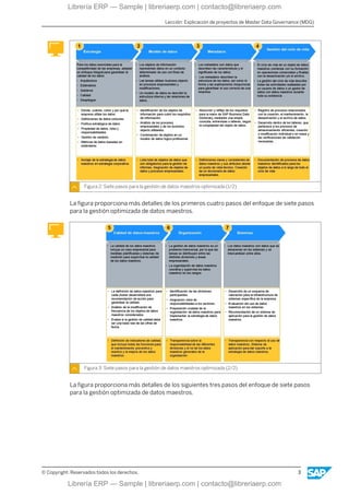 MDG200 Col20 SAP Master Data Governance: Configuración y Customizing | PDF