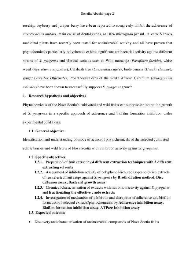 sample scholarship research proposal