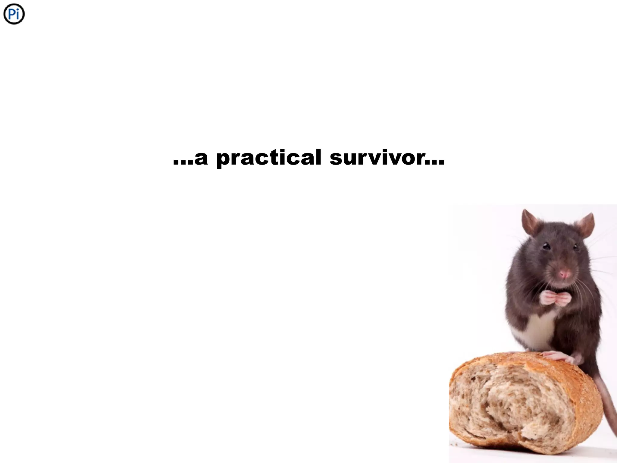 ...a practical survivor...
 