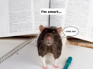 I’m smart...




               i dare say.
 