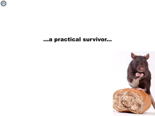 ...a practical survivor...
 