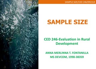 SAMPLE SIZE/CED 246/092314 
SAMPLE SIZE 
CED 246-Evaluation in Rural 
Development 
ANNA MERLINNA T. FONTANILLA 
MS DEVCOM, 1998-38359 
 