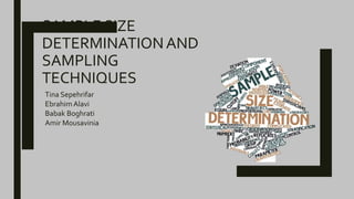 Sample Size Determination | PPTX