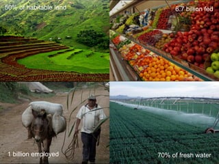 50% of habitable land        6.7 billion fed




1 billion employed      70% of fresh water
 