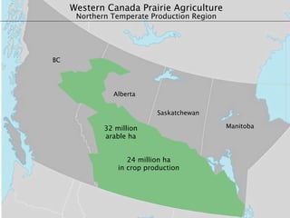 Western Canada Prairie Agriculture
      Northern Temperate Production Region




BC




               Alberta


                            Saskatchewan

             32 million                      Manitoba
             arable ha


                    24 million ha
                 in crop production
 