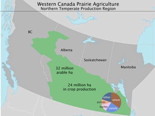 Western Canada Prairie Agriculture
      Northern Temperate Production Region




BC




               Alberta


                            Saskatchewan

             32 million                                   Manitoba
             arable ha


                    24 million ha
                 in crop production

                                          other
                                                  wheat
                                      pulses
                                       barley
                                                canola
 