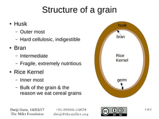 Millets Structure gHas Geek : Whats so special about millets | PDF