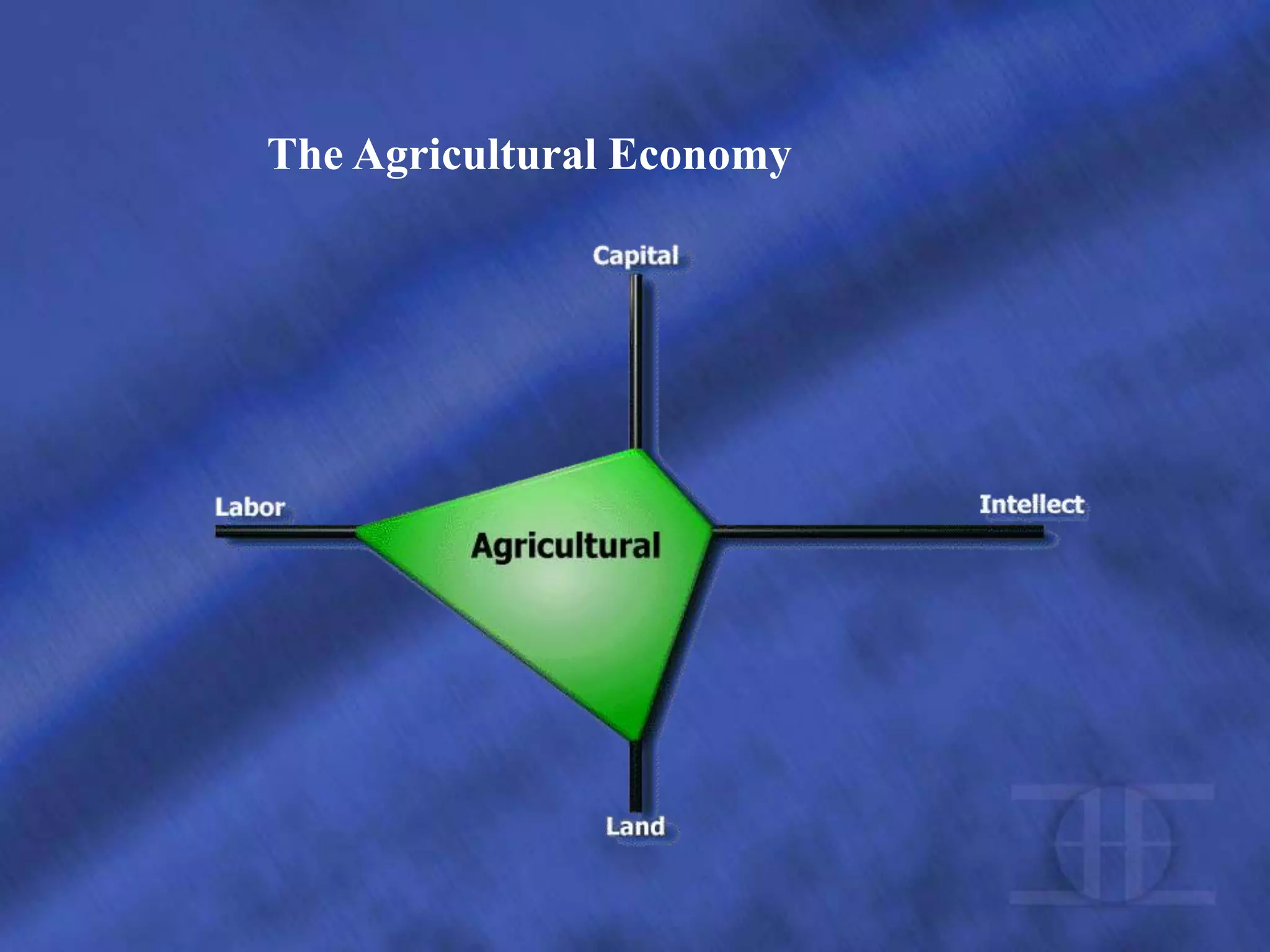 The Agricultural Economy
 
