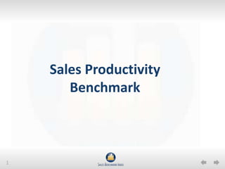 Sales Productivity Benchmark 
