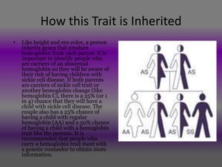 How this Trait is Inherited
•   Like height and eye color, a person
    inherits genes that produce
    hemoglobin from each parent. It is
    important to identify people who
    are carriers of an abnormal
    hemoglobin so they will be aware of
    their risk of having children with
    sickle cell disease. If both parents
    are carriers of sickle cell trait or
    another hemoglobin change (like
    hemoglobin C), there is a 25% (or 1
    in 4) chance that they will have a
    child with sickle cell disease. The
    couple also has a 25% chance of
    having a child with regular
    hemoglobin (AA) and a 50% chance
    of having a child with a hemoglobin
    trait like the parents. It is
    recommended that people who
    carry a hemoglobin trait meet with
    a genetic counselor to obtain more
    information.
 