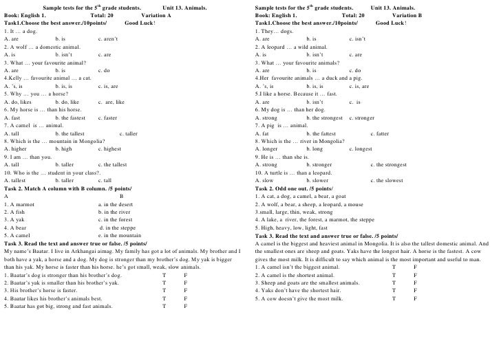 Sample tests for 5th grade students