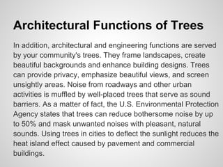 Architectural Functions of Trees
In addition, architectural and engineering functions are served
by your community's trees. They frame landscapes, create
beautiful backgrounds and enhance building designs. Trees
can provide privacy, emphasize beautiful views, and screen
unsightly areas. Noise from roadways and other urban
activities is muffled by well-placed trees that serve as sound
barriers. As a matter of fact, the U.S. Environmental Protection
Agency states that trees can reduce bothersome noise by up
to 50% and mask unwanted noises with pleasant, natural
sounds. Using trees in cities to deflect the sunlight reduces the
heat island effect caused by pavement and commercial
buildings.
 