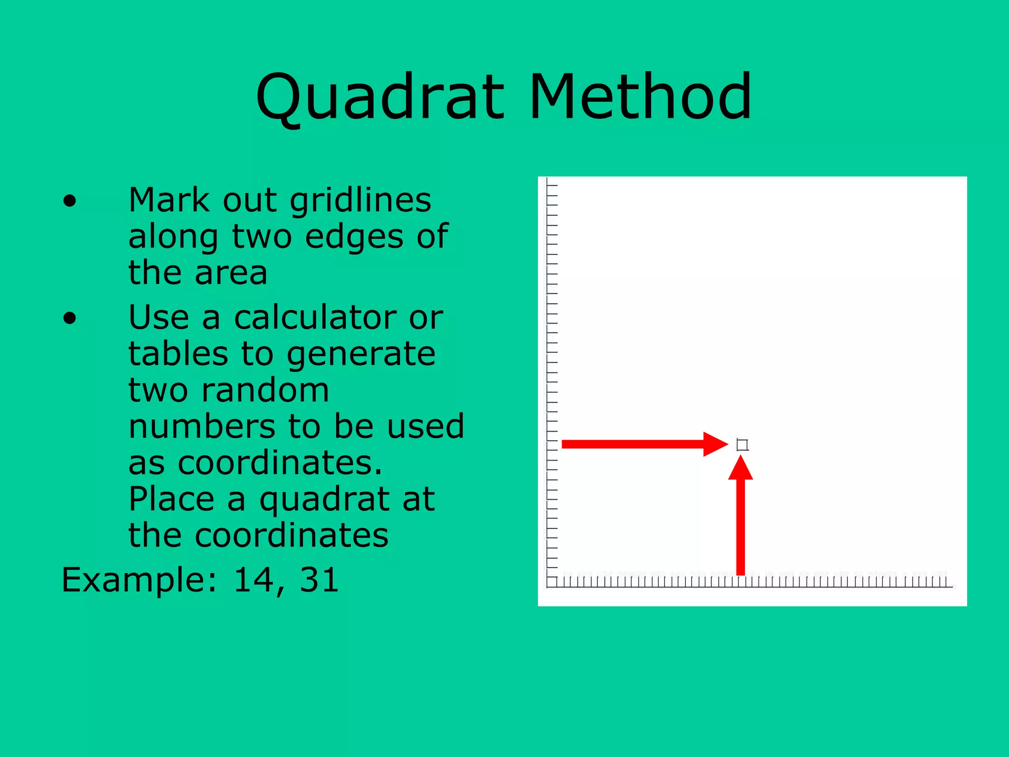 Quadrat Method
• Mark out gridlines
along two edges of
the area
• Use a calculator or
tables to generate
two random
numbers to be used
as coordinates.
Place a quadrat at
the coordinates
Example: 14, 31