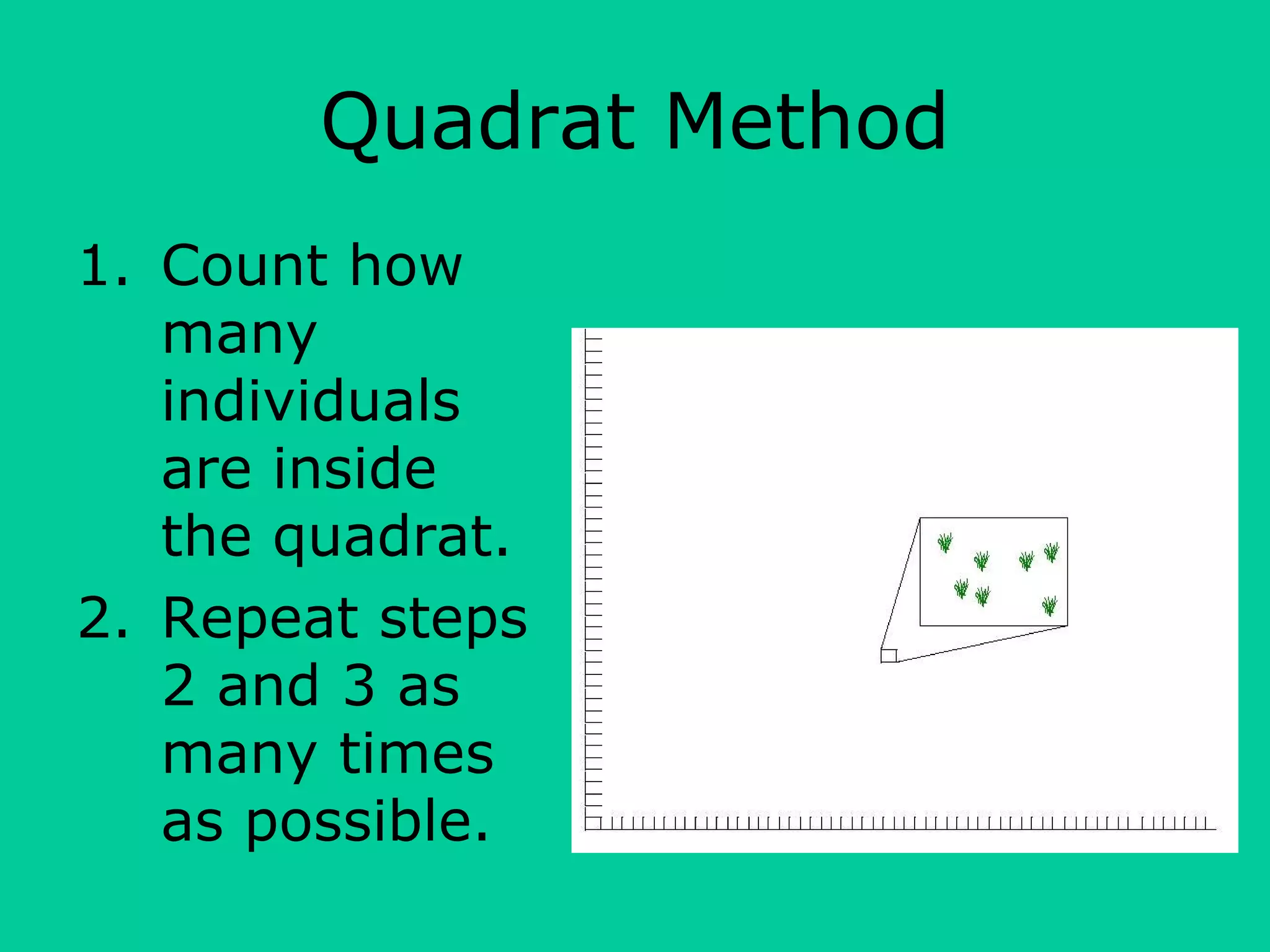 Quadrat Method
1. Count how
many
individuals
are inside
the quadrat.
2. Repeat steps
2 and 3 as
many times
as possible.