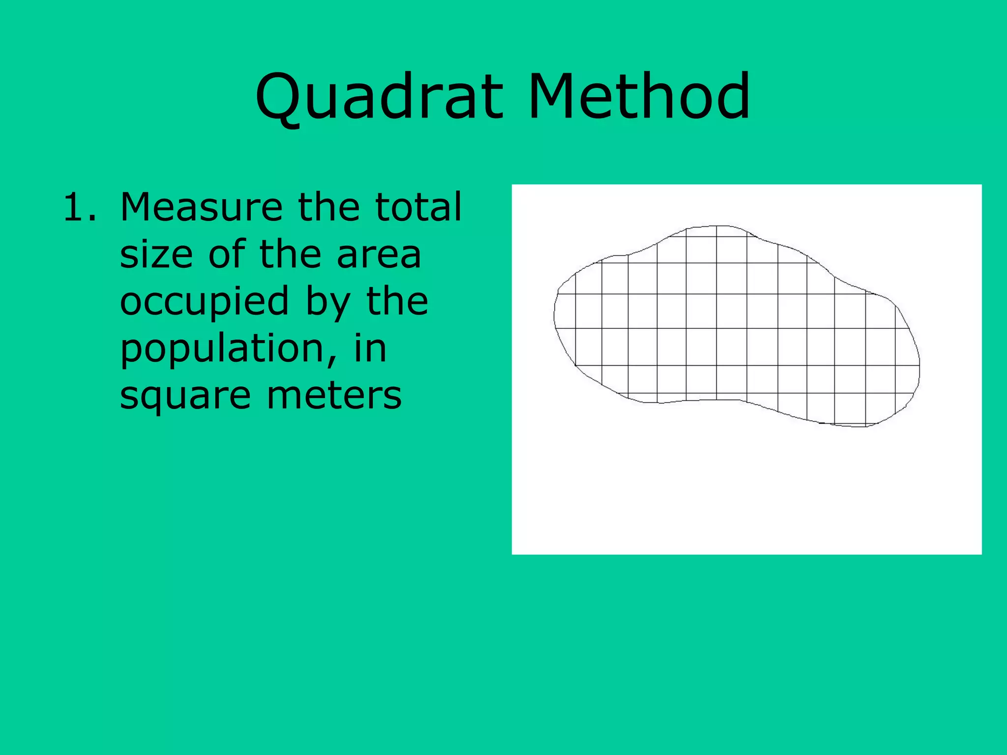 Quadrat Method
1. Measure the total
size of the area
occupied by the
population, in
square meters