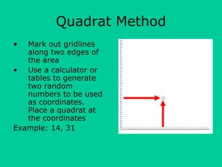 Quadrat Method
•  Mark out gridlines
   along two edges of
   the area
• Use a calculator or
   tables to generate
   two random
   numbers to be used
   as coordinates.
   Place a quadrat at
   the coordinates
Example: 14, 31
 