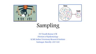Sampling
Dr Vinodh Kumar O.R
Division of Epidemiology
ICAR-Indian Veterinary Research Institute
Izatnagar, Bareilly-243 122
 