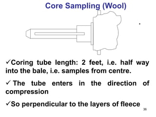 Sampling.pdf